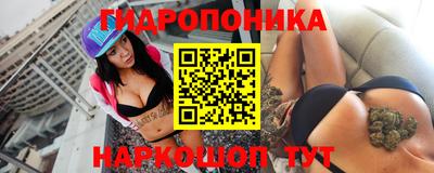 стаф Чебоксары