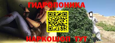 стаф Чебоксары
