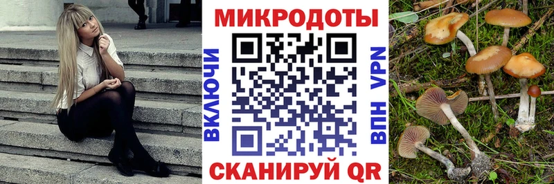 Галлюциногенные грибы Psilocybe Октябрьский