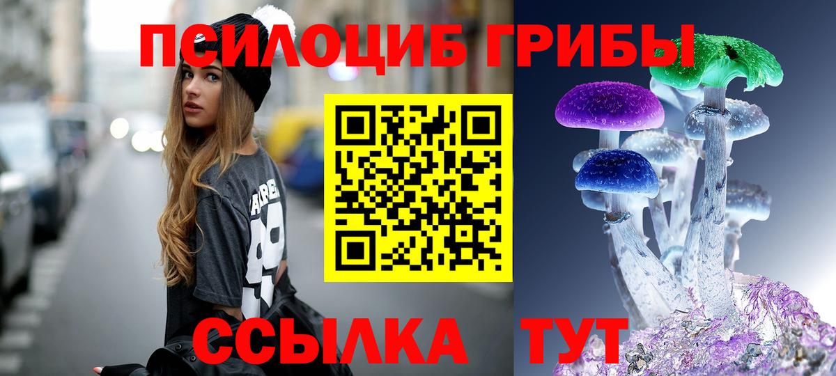 Псилоцибиновые грибы Psilocybe Октябрьский
