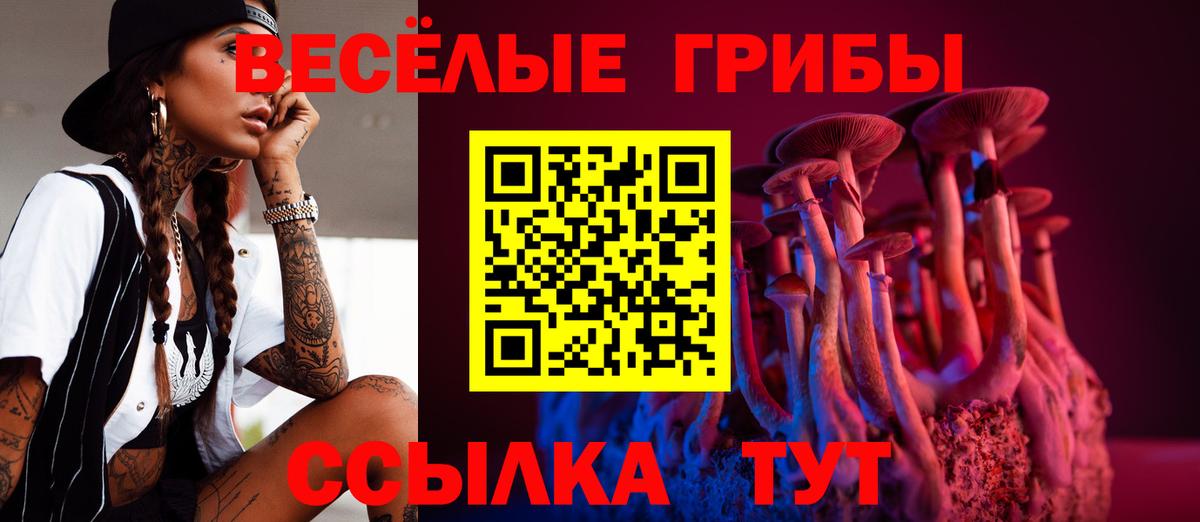 наркошоп  Псилоцибиновые грибы Magic Shrooms  Октябрьский  Вход с VPN  Галлюциногенные грибы Psilocybe 